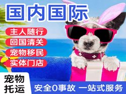 阿坝红原机场物流国际宠物托运 【国